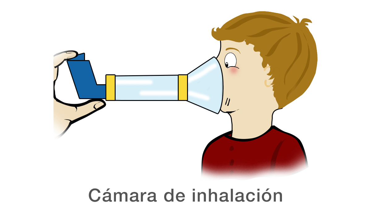 Cámara de inhalación