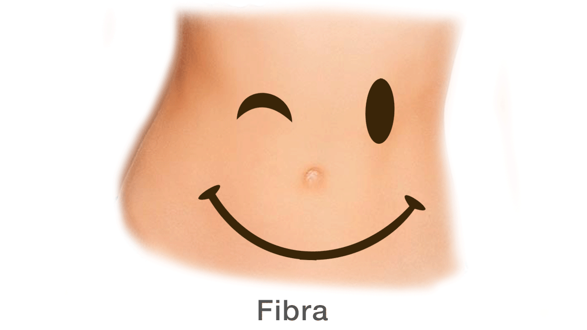 La Fibra