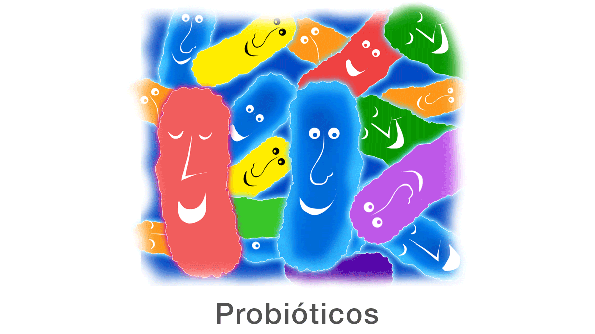 Probióticos